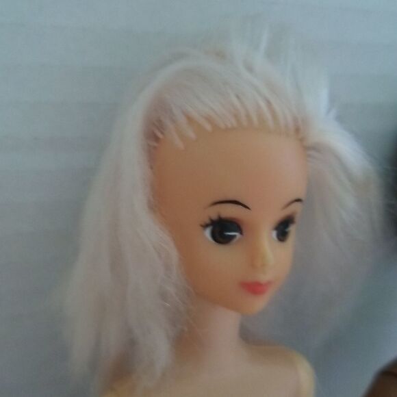 Vintage Assorted Barbie Doll and more Collection - Picture 7 of 9